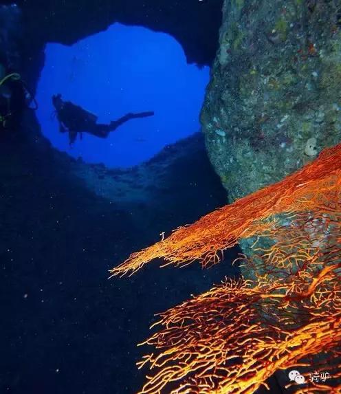 帕劳最新政策消息,帕劳现在怎么样了