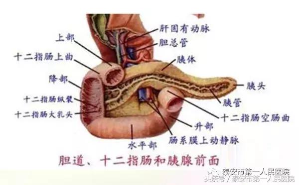 全国治疗重症胰腺炎最权威的医院,重症胰腺炎手术后多长时间能出院