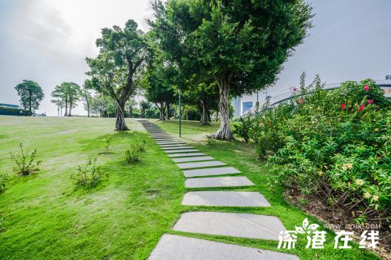 深圳湾公园有什么好玩的地方,深圳湾公园好玩的地方有哪些