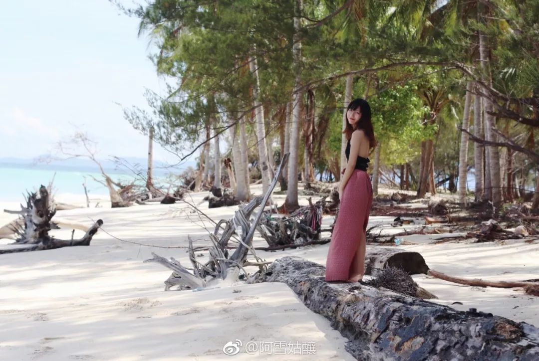 沙巴美人鱼岛该怎么去,美人鱼岛到机场