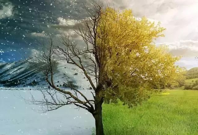 收缩毛孔的方法真的管用吗,收缩毛孔的效果都非常明显