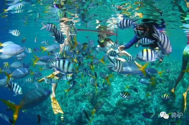 帕劳最新政策消息,帕劳现在怎么样了