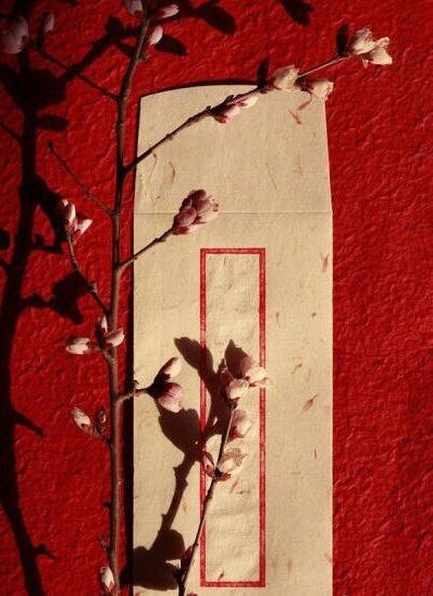 「词风雅韵」风拂青草｜柔柔细语总关情