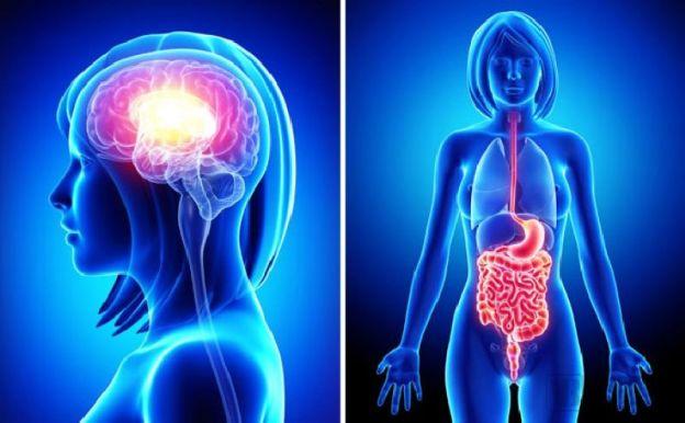 纯干货！一文看懂微生物及其商业模式！