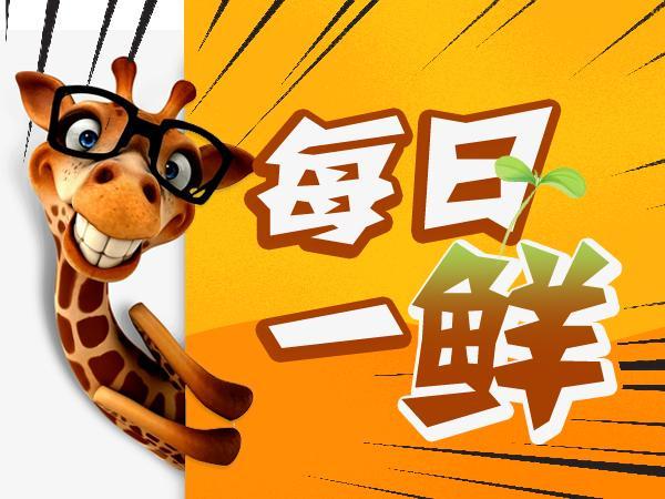 直击火爆全网的国字脸猴子,越看越像猴子一样的人