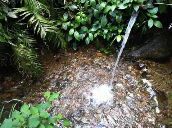 山泉水真的有那么好喝吗,山泉水为什么会很干净