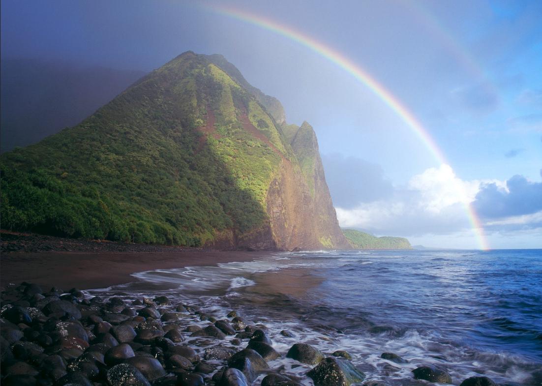 温馨提示一年一度的情人节到了,情人节重要提示