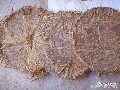 河蟹塘清塘的一些注意事项,河蟹塘消毒用什么好