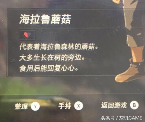 塞尔达传说之旷野之息续集,塞尔达传说旷野之息全部更新内容