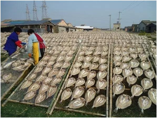 春节上海哪些地方好逛,上海人春节吃什么