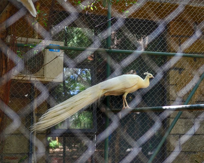 人间仙境三亚,三亚人间天堂全景