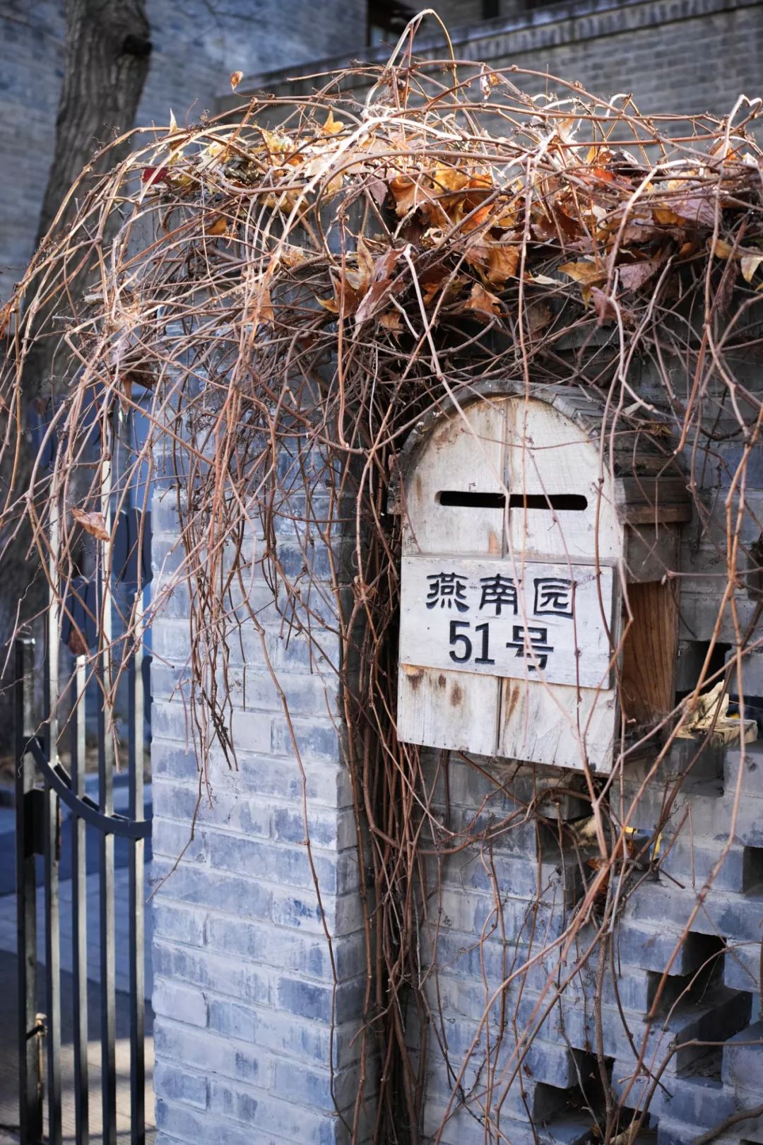 适马dp2q适合什么样的人,sigma适马dp2x测评