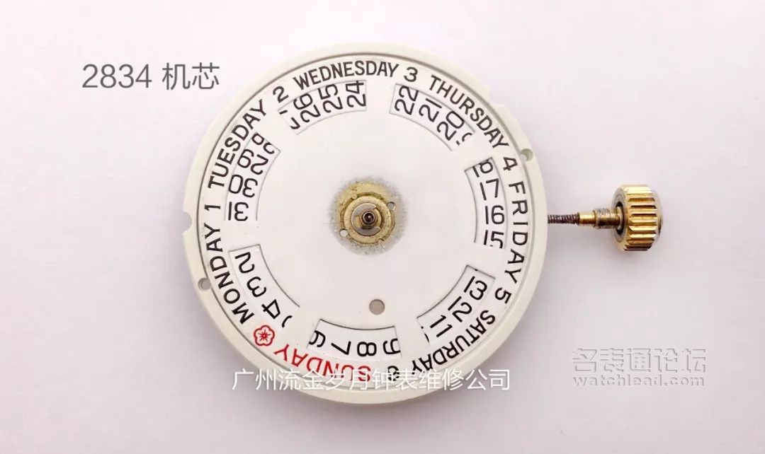 学会修表很简单：零基础也能学会2824、955、2834、2892机芯保养