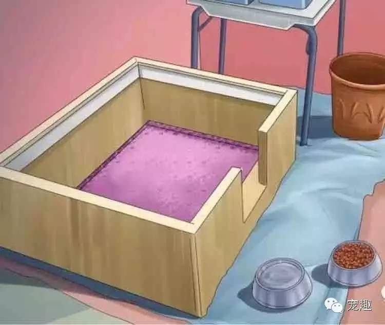 健康|狗妈妈生宝宝～产前、产后护理指导