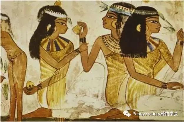 升级版乳香精油,千年乳香精油