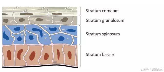 扒一扒水果敷脸都有哪些坏处?