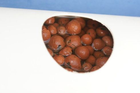 以色列室内无土栽培蔬菜方法,家庭小型无土栽培蔬菜技术