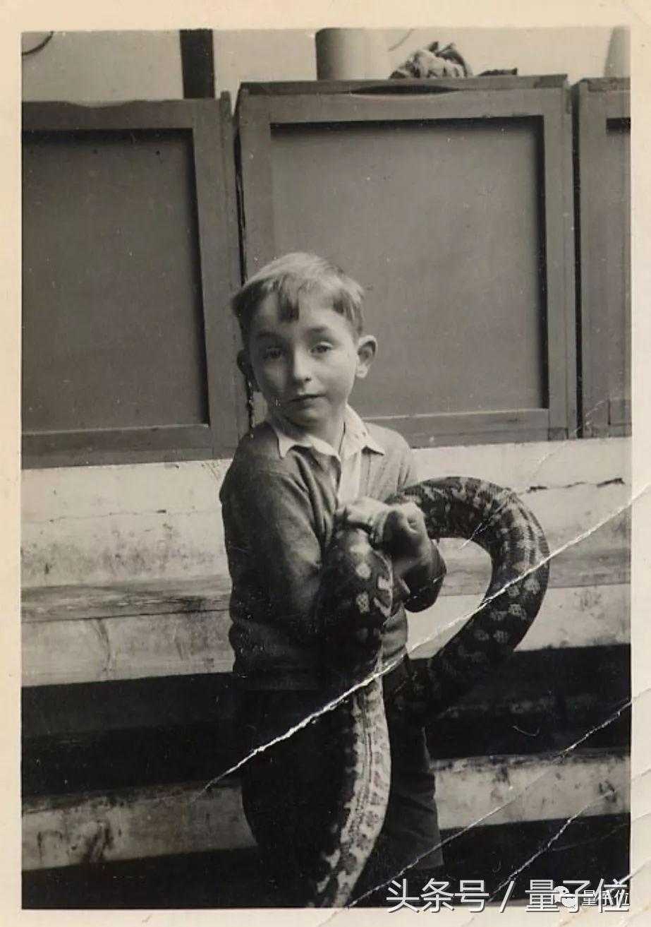 hinton成果,人类科技机器