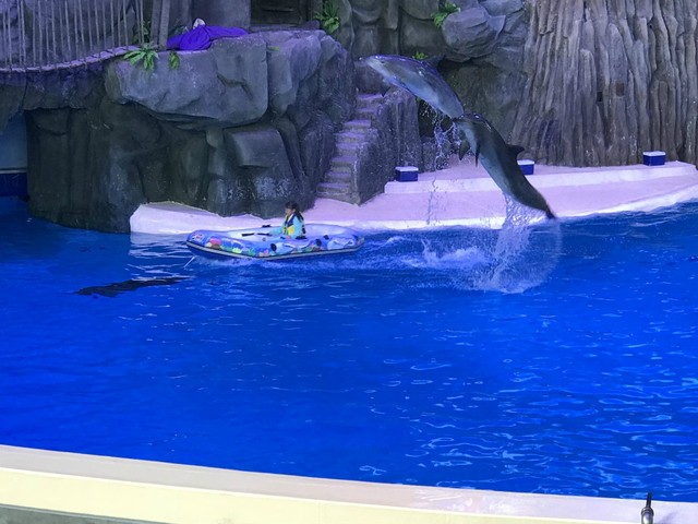 两天一晚珠海长隆旅游攻略,珠海长隆旅行一日游需要准备什么