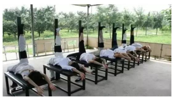 在中国被判刑的外国籍名人,在国外的劣迹艺人