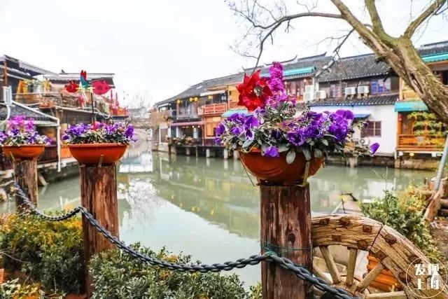 上海17号线东方绿舟,上海17号线附近游玩