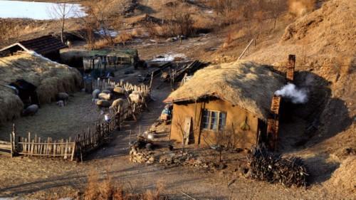 赵二小,赵二狗和小赵全集