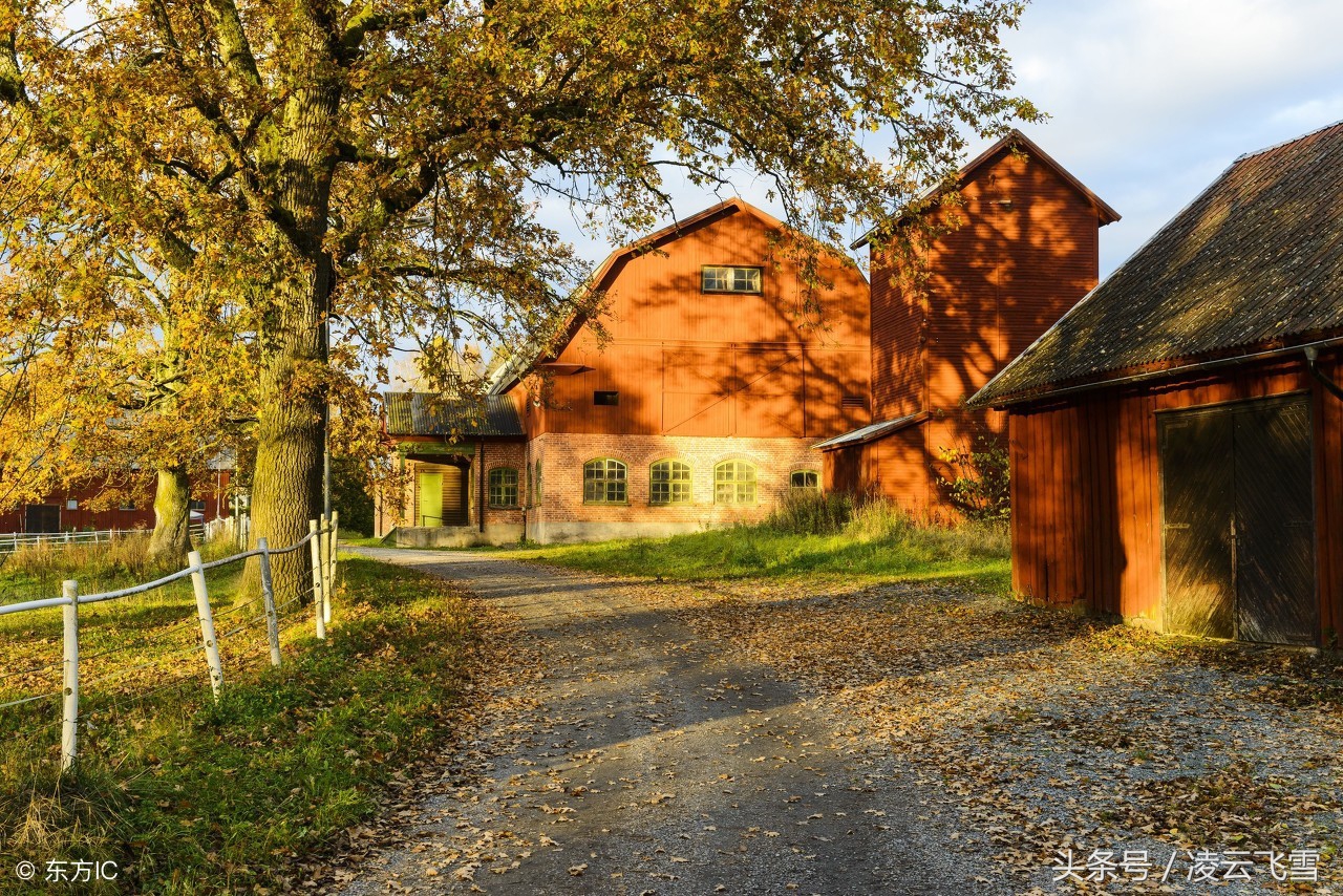 经典田园诗10首唯美中含有深意,最美的十首七绝田园诗