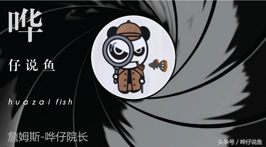 我的鱼缸怎么都是水碱,我的鱼缸水很浑浊怎么办