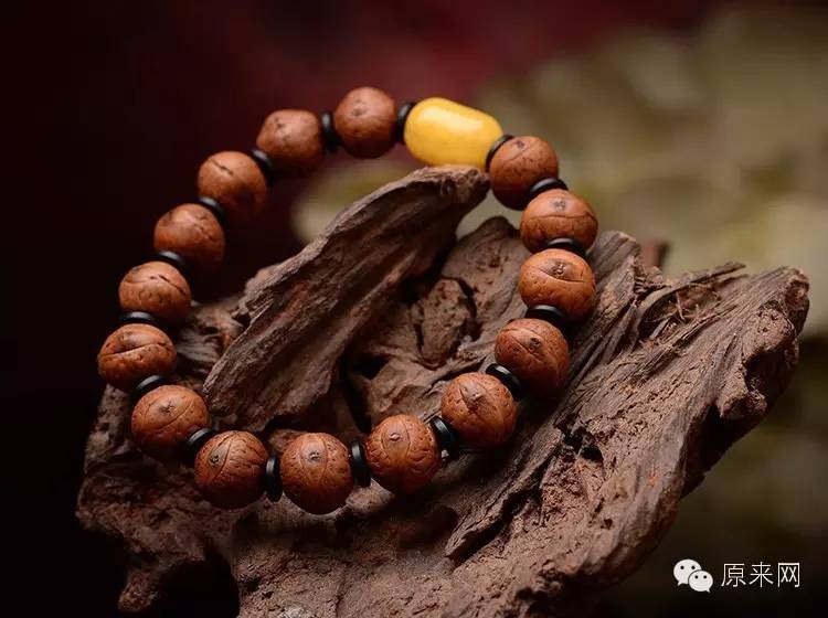 菩提本无树，果实作文玩