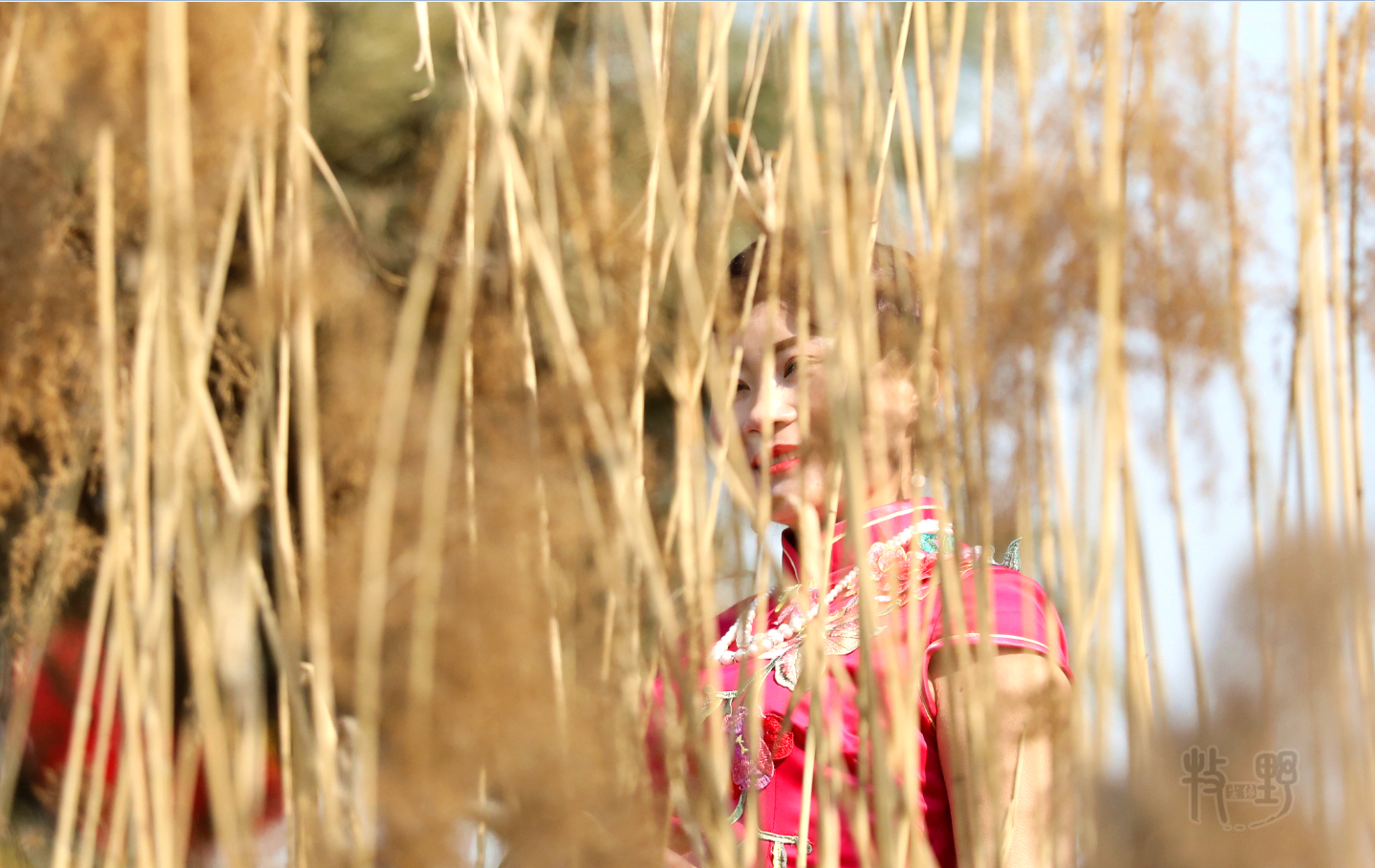 流淌了千年的汤泉,为了她原版香水