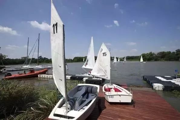 上海17号线到东方明珠,上海17号线东方绿舟