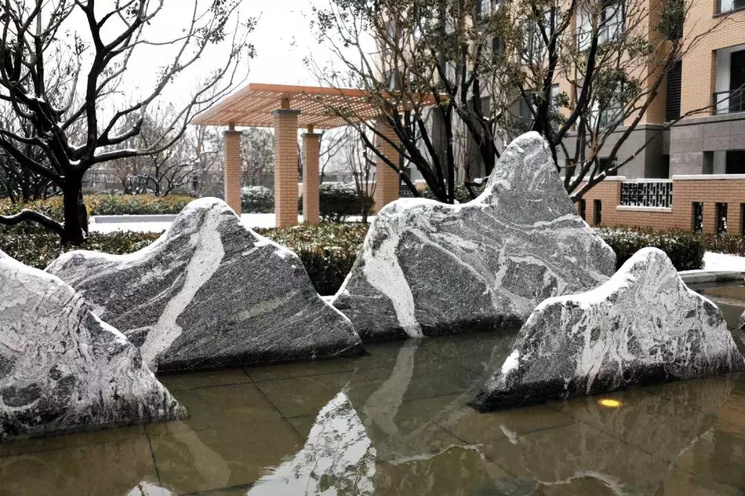 风雪中来，一见钟情，豫发何以傲娇？