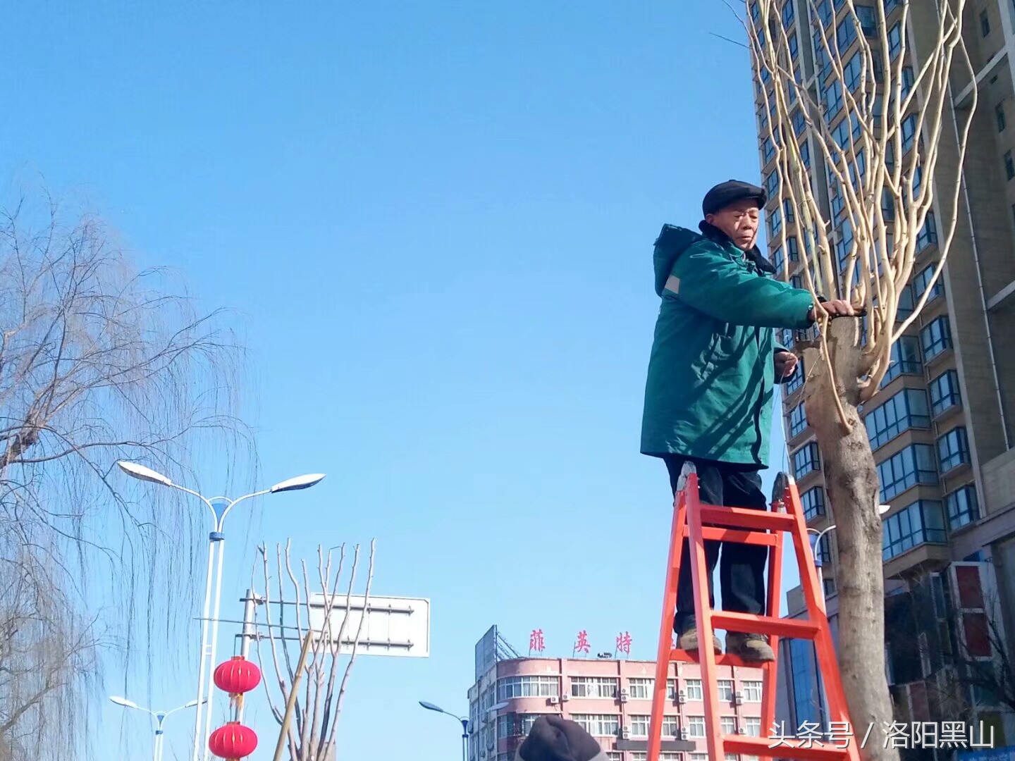 宜阳小灯笼,宜阳红灯笼