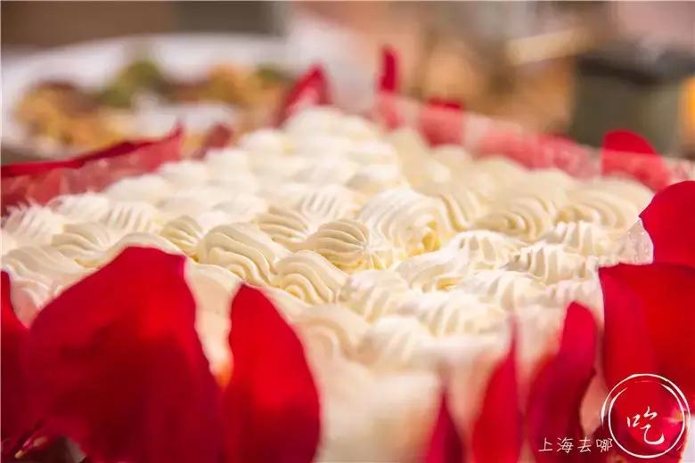 章子怡吸睛,章子怡圈粉周一围