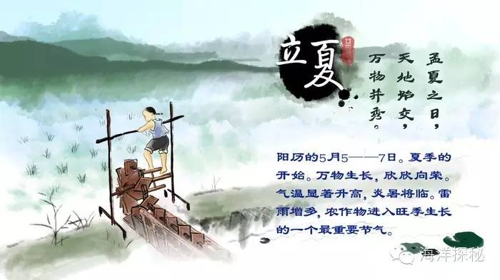 夏天来了，吃什么鱼好呢？