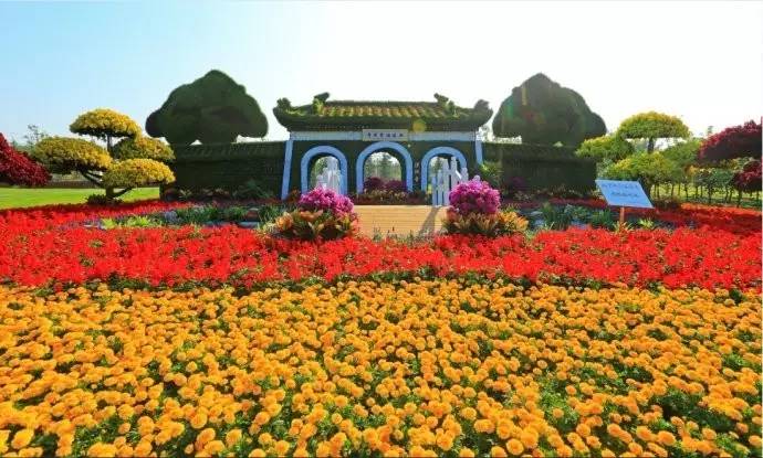 长阳奋斗,长阳县发展