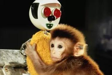 你与妈妈的关系决定了什么,来自妈妈的爱对话