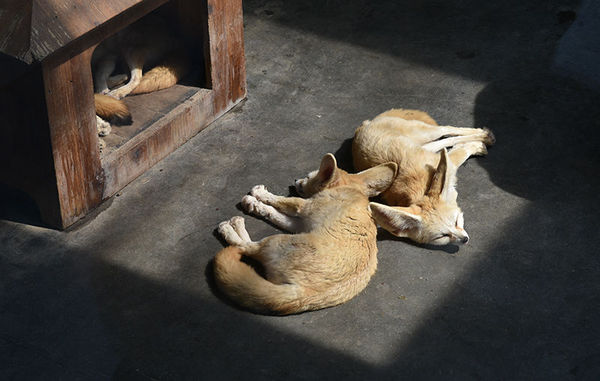 尼康d90加永诺50mmf1.8d怎么用,尼康50mm1.8g和永诺50mm1.8