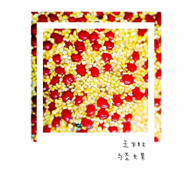 揭秘大学内幕,哈工大辟谣传闻