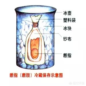 燃放烟花爆竹的防火措施,燃放烟花爆竹如何注意安全