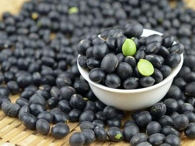 m型脱发额头高怎么才能恢复,单m型脱发怎么才能恢复