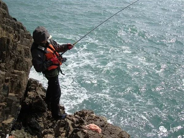 矶钓海钓诱饵笼的用法大全,冬季海钓矶钓用什么假饵最好用