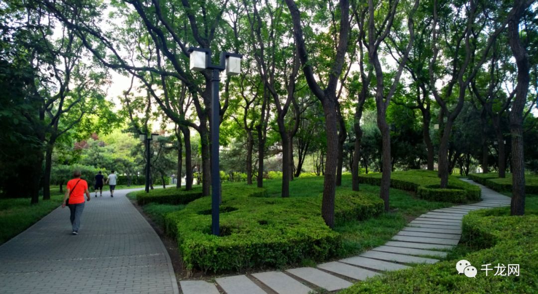 未来五年园林绿化前景,未来5年绿化公园