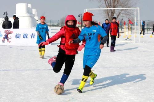 哈尔滨雪地杯足球小将,足球小将北海道雪地