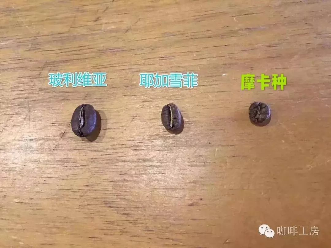 摩卡咖啡和摩卡壶咖啡的区别,摩卡咖啡卡布奇诺咖啡的区别