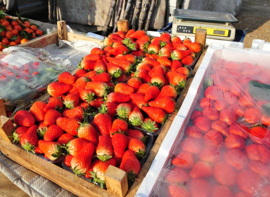 办年货快来坨里赶大集,赶大集办年货浓浓年味迎春节