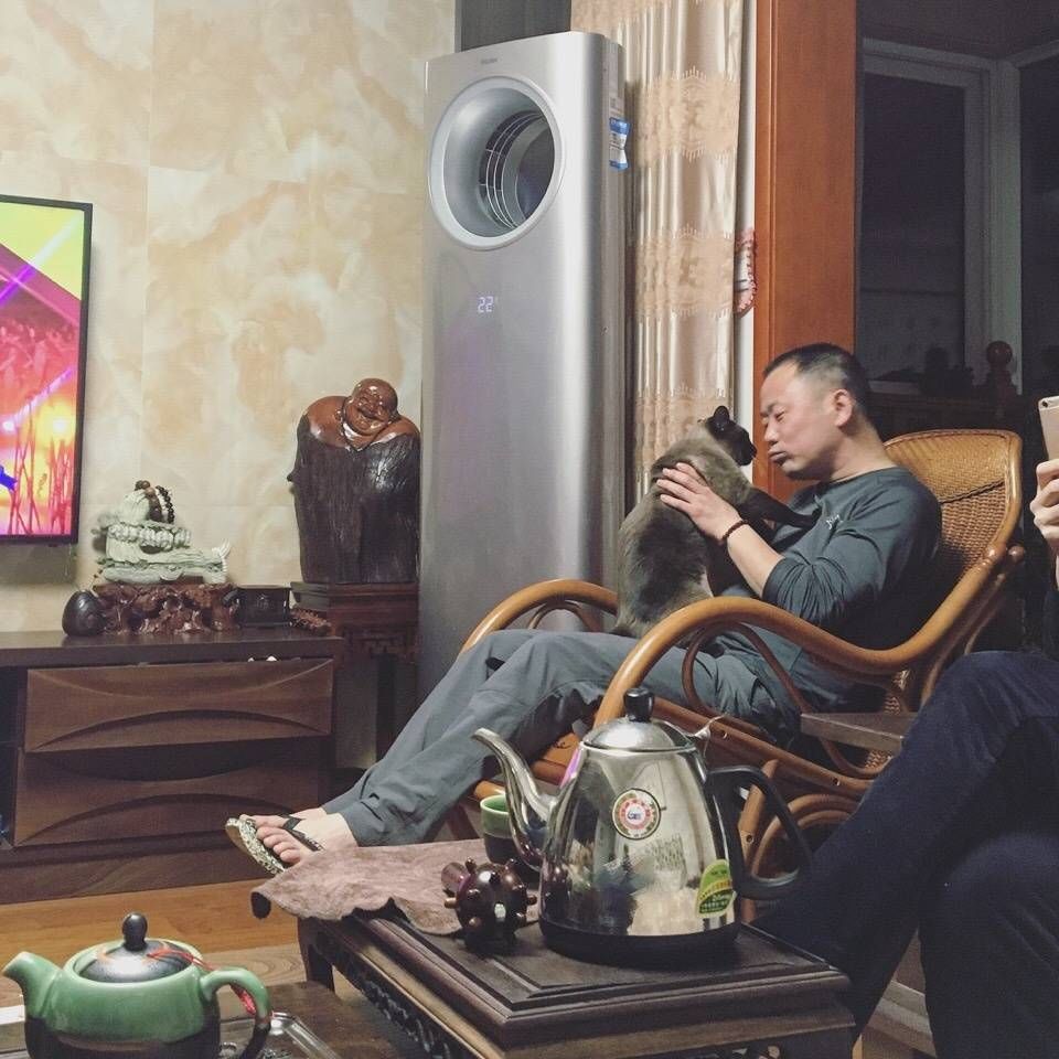 带狗回家后的第一天,带狗回家过年后带不回来了