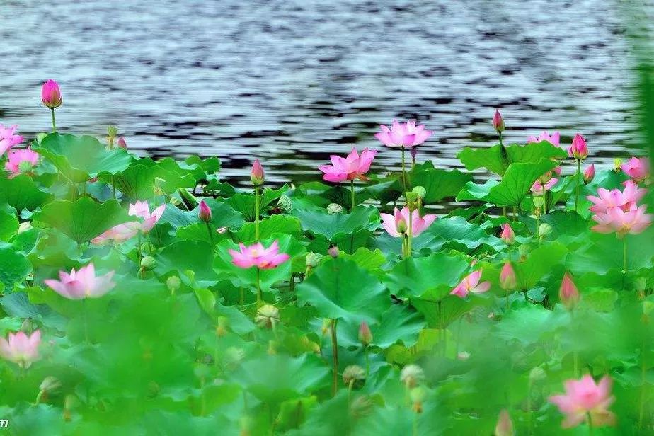 怎么修炼*产党共**人的“心学”？