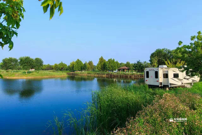 吕英志:2020年把“乐在莱西”培育成全国知名品牌