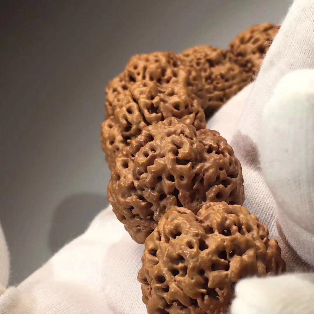 五星双龙大金刚菩提手串,大金刚菩提蜂窝双龙极品